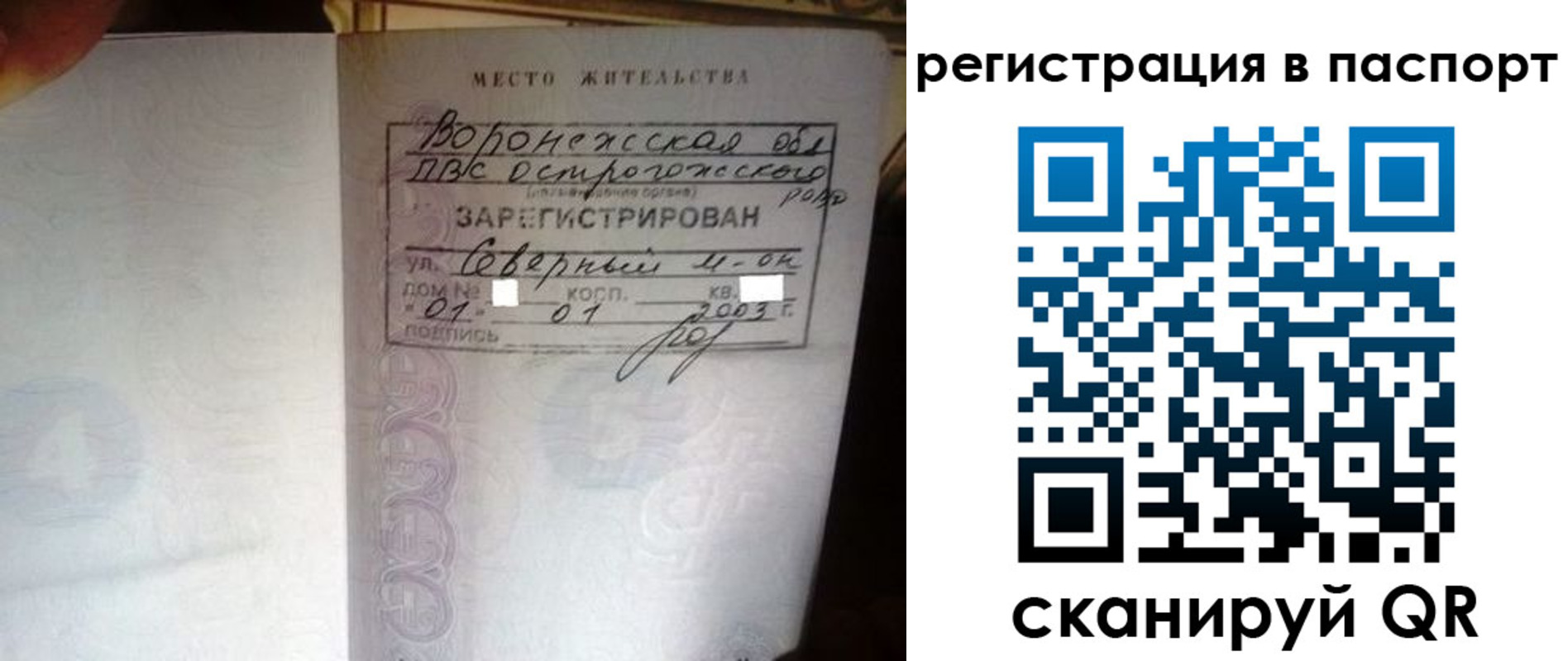 прописка для школы в Реутове